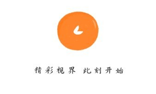 小柿子app版本大全