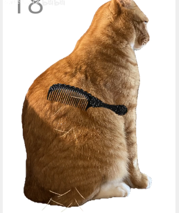给猫梳毛游戏