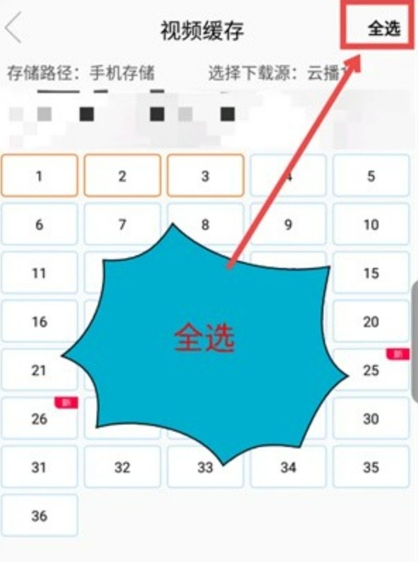 八一影视app官方版