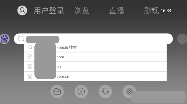 飞视浏览器TV版