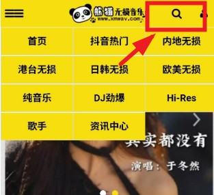 熊猫无损音乐