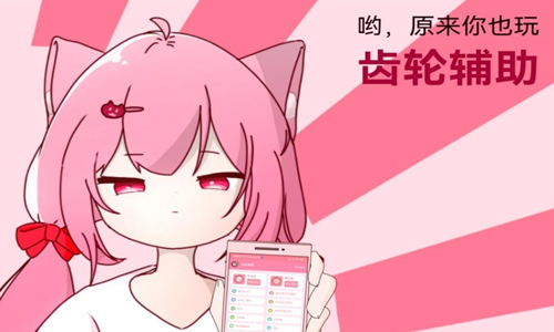 齿轮辅助