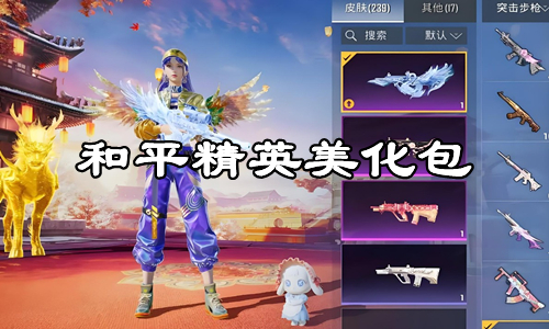 和平精英美化包