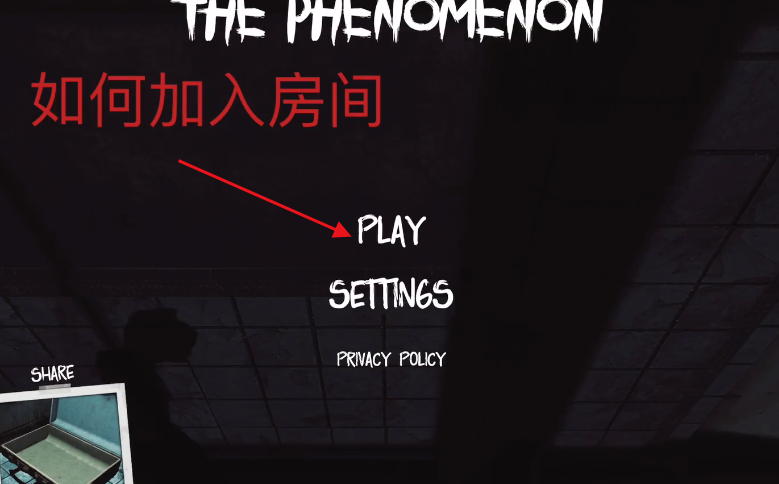 The Phenomenon