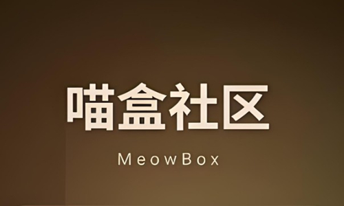 喵盒社区