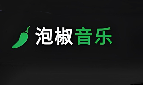 泡椒音乐版本大全