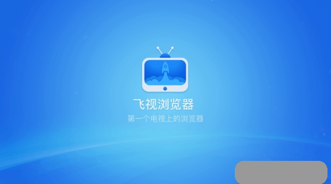 飞视浏览器TV版