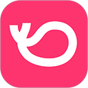 灰豚数据app