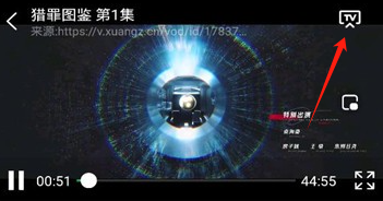 蜂鸟视频免费版