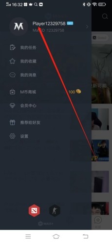 DotaMax官网版