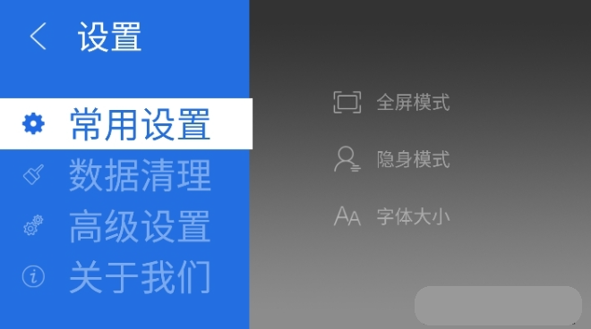 飞视浏览器TV版