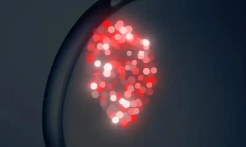 咚咚传情app