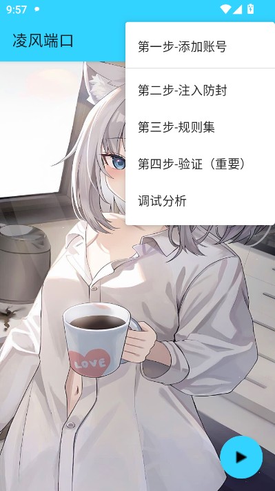 凌风端口