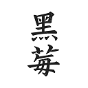 黑莓浏览器app图标