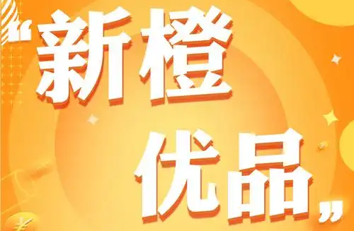 新橙优品贷款app