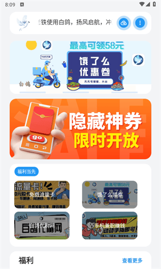 白鸽图3