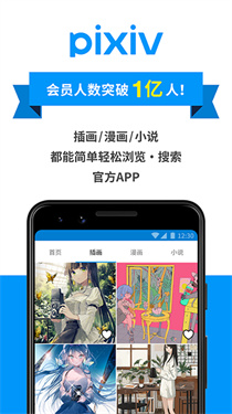 p站浏览器