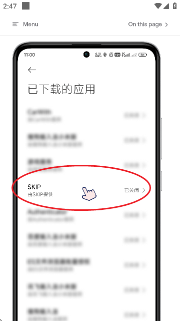 skip软件