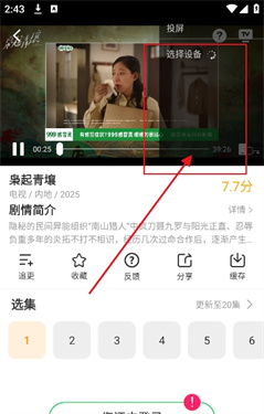 冬青影视