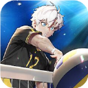 the spike正版