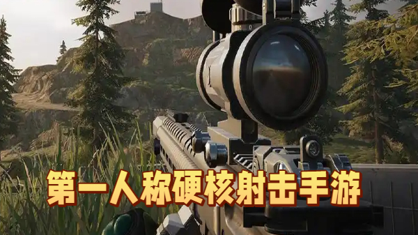 第一人称硬核射击手游
