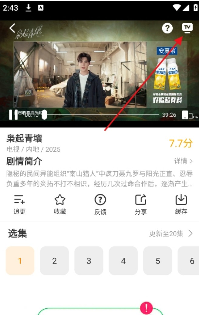 冬青影评影视