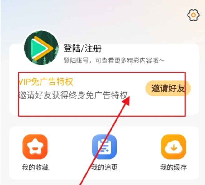 冬青影评最新版本