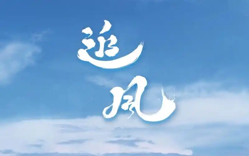 追风视频免费追剧