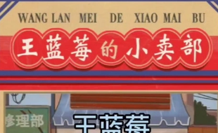 王蓝莓系列游戏合集