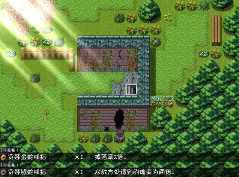 blacksouls1冷狐直装版无法奔跑解决方法