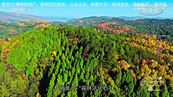 青龙TV