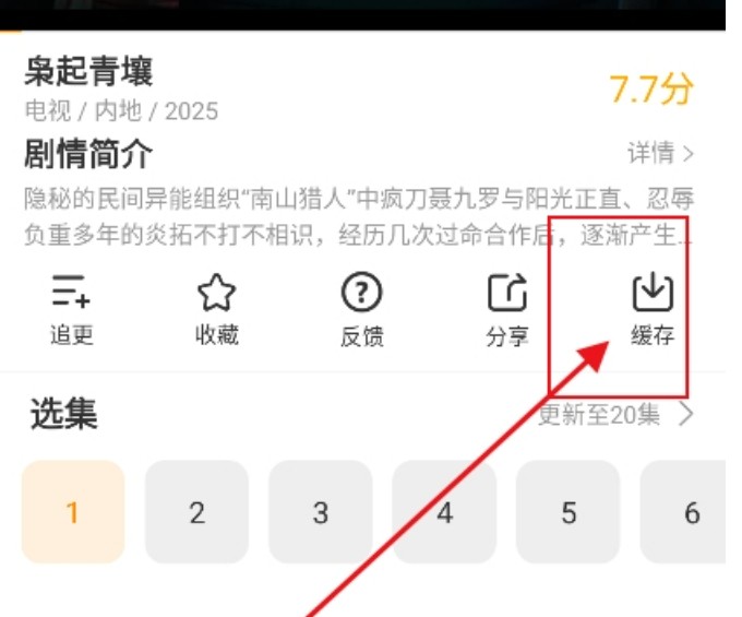 冬青影评最新版本