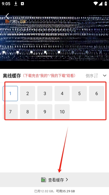 金鱼视频