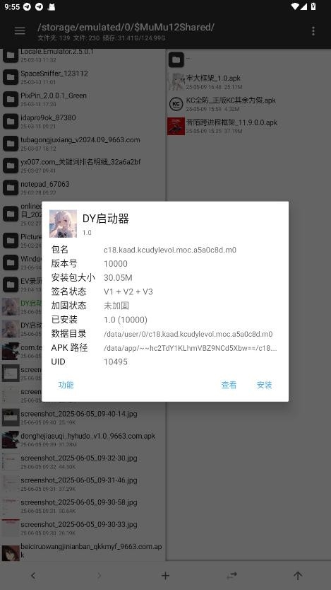 DY启动器