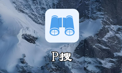P搜
