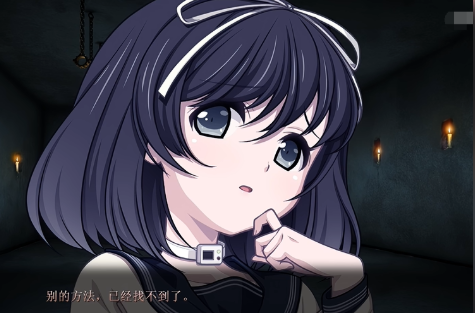 euphoria游戏