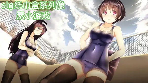 slg纸巾盒系列像素小游戏