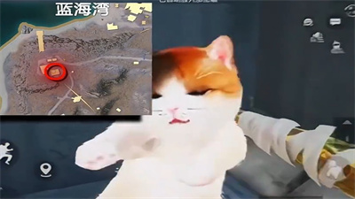 地铁逃生小猫刷新位置