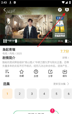 冬青影视