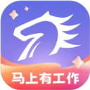 百城招聘app