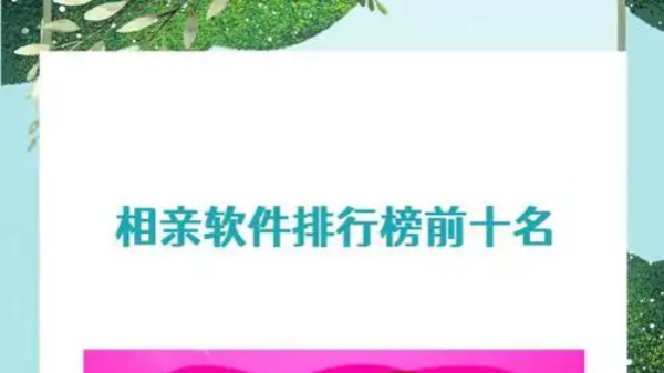 相亲软件app前十名