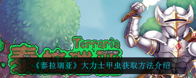 泰拉瑞亚大力士甲虫怎么获得