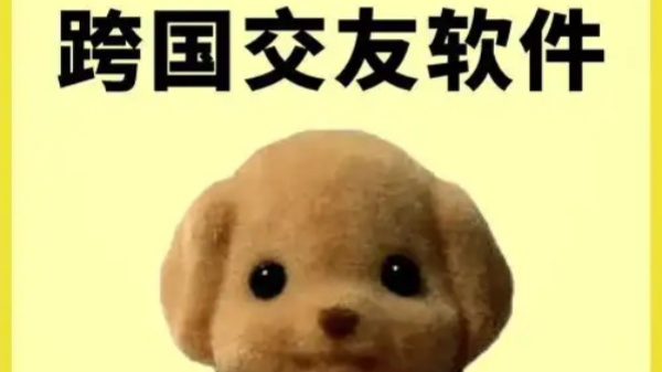 免费跨国视频聊天app