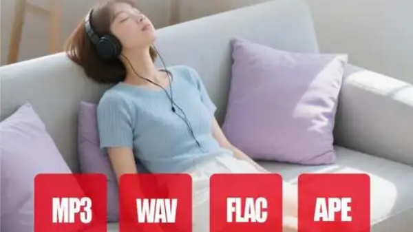 音乐播放器十大排名