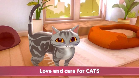 我的猫舍-0