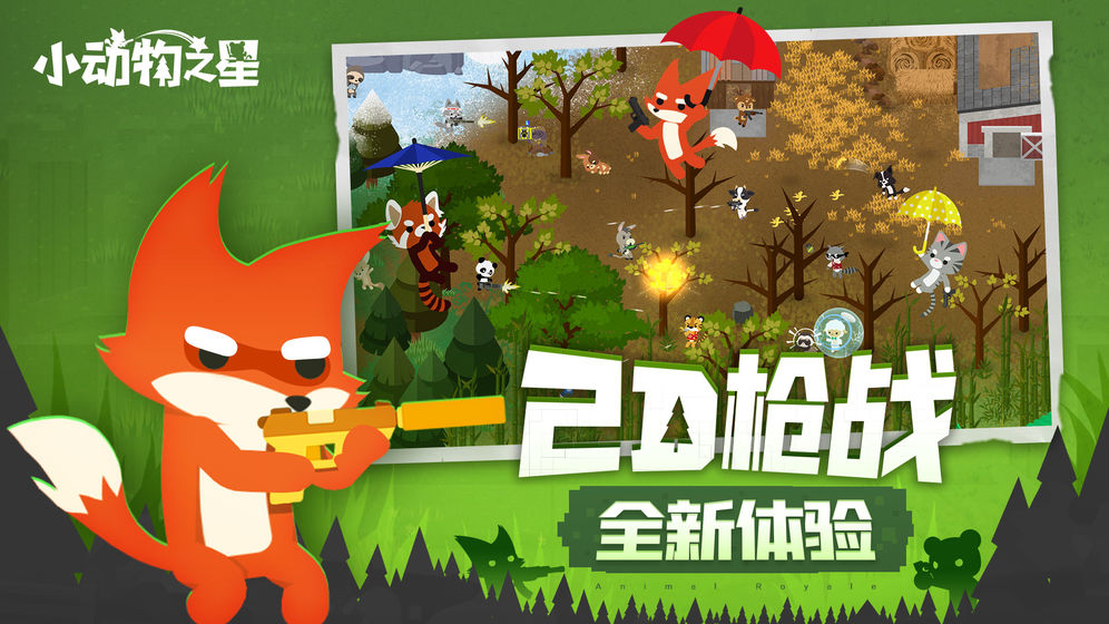 小动物之星图1