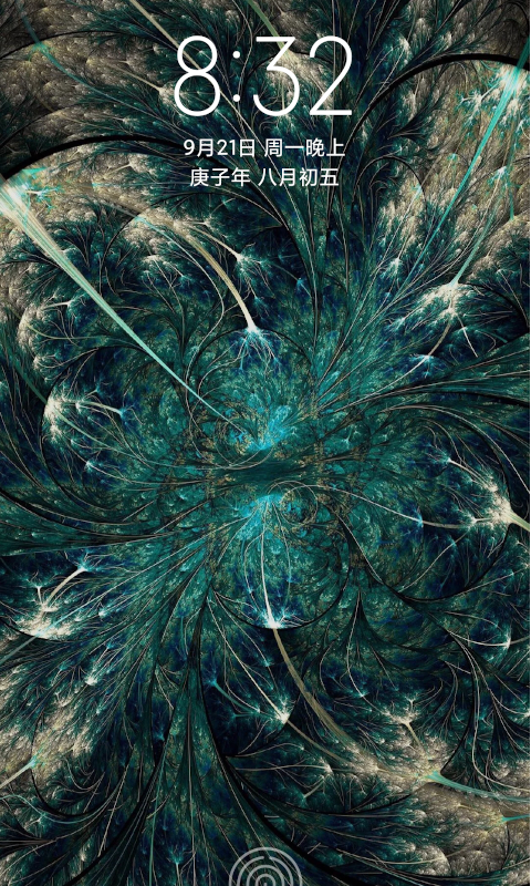 飞鲨壁纸app-1