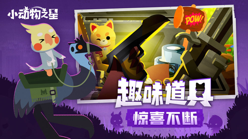 小动物之星图4