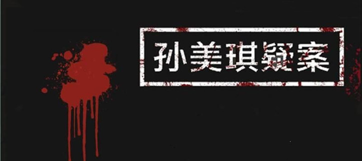 孙美琪疑案系列大全