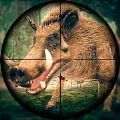 野性狩猎WildHuntPigSniperShooting图标